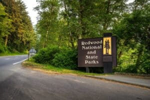 Things to do in Redwood National Park