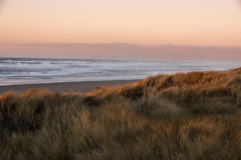 Visit Samoa Beach in Eureka & More Beaches in CA 1 Visit Samoa Beach in Eureka / More Things to do at Samoa Dunes Recreation Area