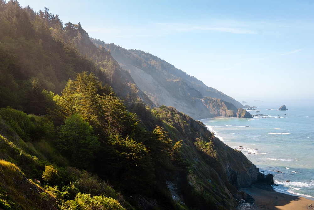 Explore Del Norte Coast Redwoods State Park 5 Del Norte Coast Redwoods State Park