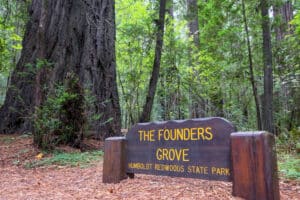 Sign for Founders Grove at Humboldt Redwoods State Park.