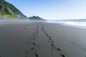 Welcome 37 Black sand beach on The Lost Coast in Northern California.