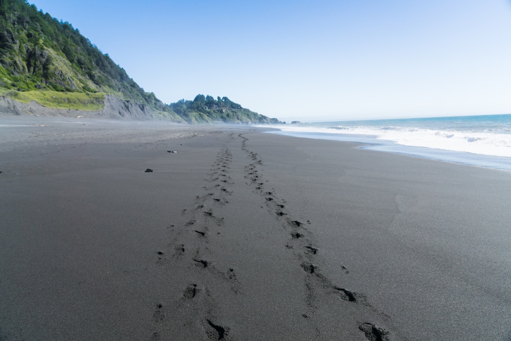 A Romantic Getaway on The Lost Coast in California 1 Black sand beach on The Lost Coast in Northern California.